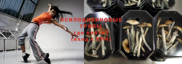 круглые Арсеньев