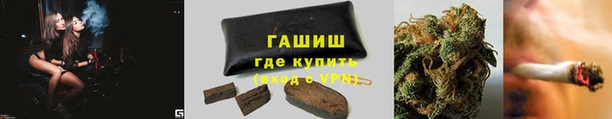 твердый Аркадак