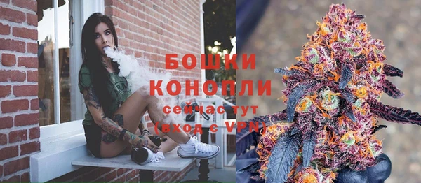 твердый Аркадак