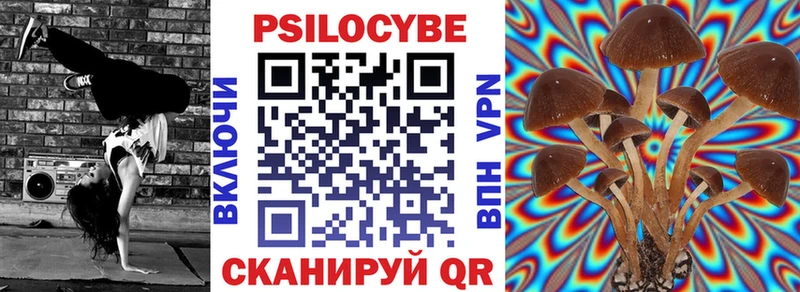 darknet какой сайт  Нелидово  Галлюциногенные грибы Psilocybe  наркотики 